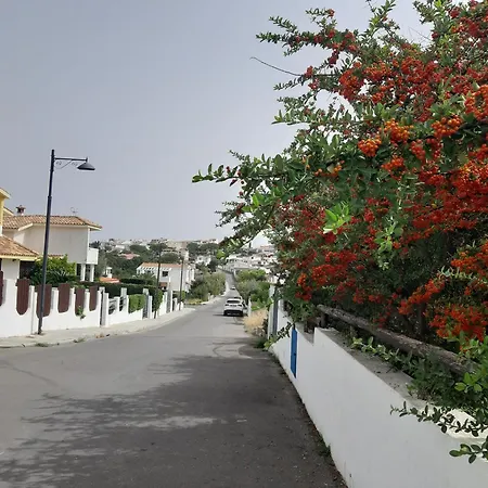 Le Pavoncelle